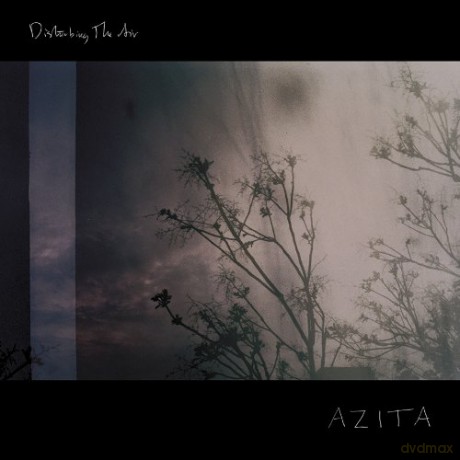 Azita: Disturbing the Air [Winyl]