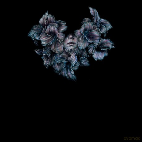 Lot Like Birds: Divisi [Winyl]