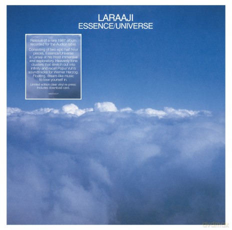 Laraaji: Essence/universe [Winyl]