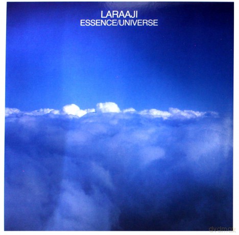Laraaji: Essence/universe [Winyl]
