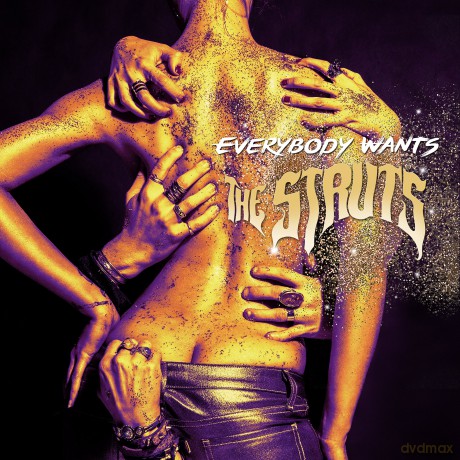 Struts: Everybody Wants [Winyl]