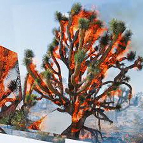 Kassel Jaeger, James Rushford Oren Ambarchi: Face Time [Winyl]