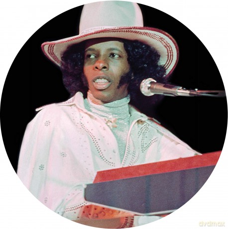 Sly Stone: Family Affair - The Very Best Of [Winyl]