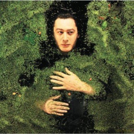 Alain Bashung: Fantaisie Militaire [Winyl]