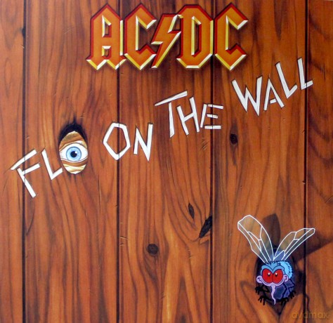 AC/DC: Fly on the Wall [Winyl]