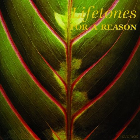 Lifetones: For A Reason [Winyl]