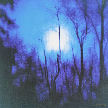 Flying Saucer Attack: Further [Winyl]