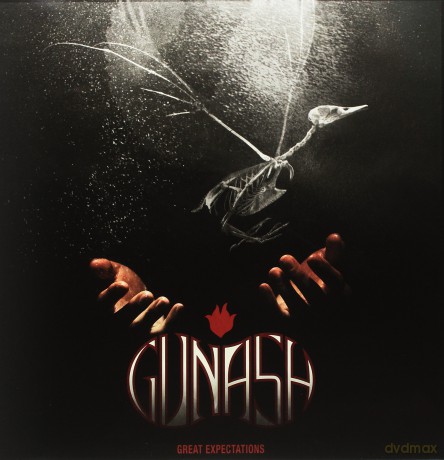 Gunash: Great Expectations [Winyl]