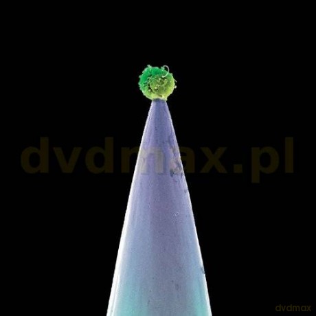 Peter Gabriel: New Blood [2CD]