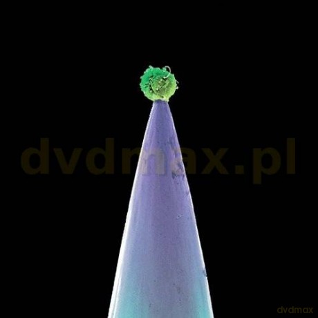 Peter Gabriel: New Blood [CD]