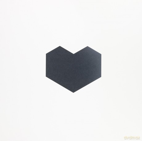 Digitalism: I Love You Dude [Winyl]