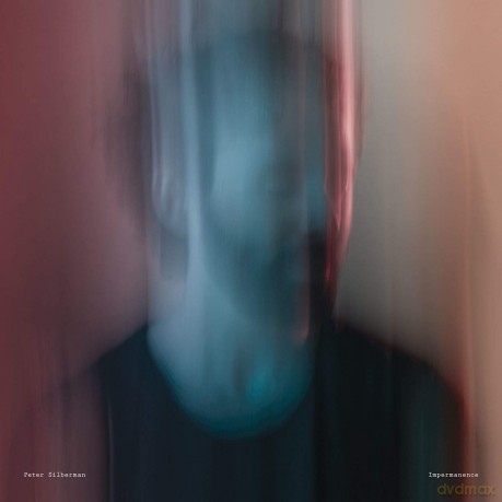 Peter Silberman: Impermanence [Winyl]