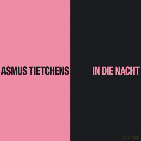 Asmus Tietchens: In Die Nacht [Winyl]