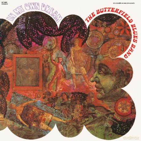 Paul Butterfield: In My Own Dream [Winyl]