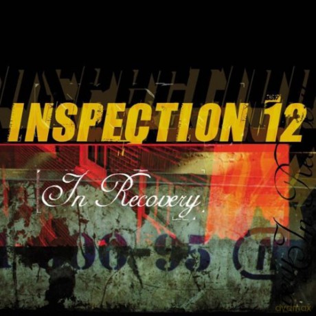 Inspection 12: In Recovery [Winyl]