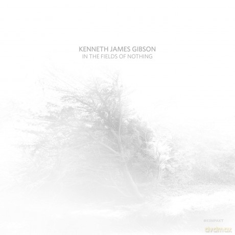 Kenneth James Gibson: In The Fields Of Nothing [Winyl]