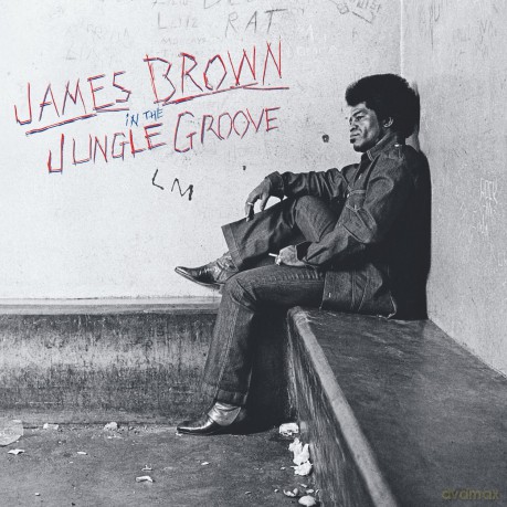 James Brown: In the Jungle Groove [Winyl]