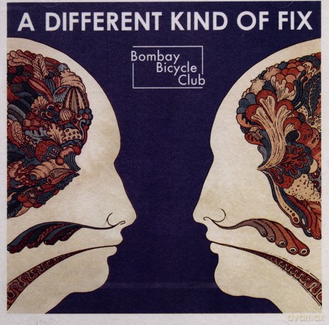 Bombay Bicycle Club: Different Kind Of Fix [CD]