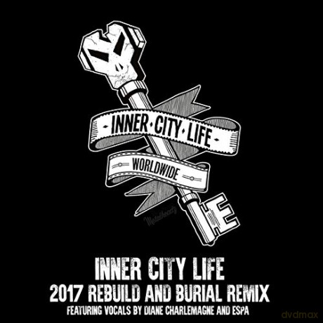 Goldie: Inner City Life [Winyl]