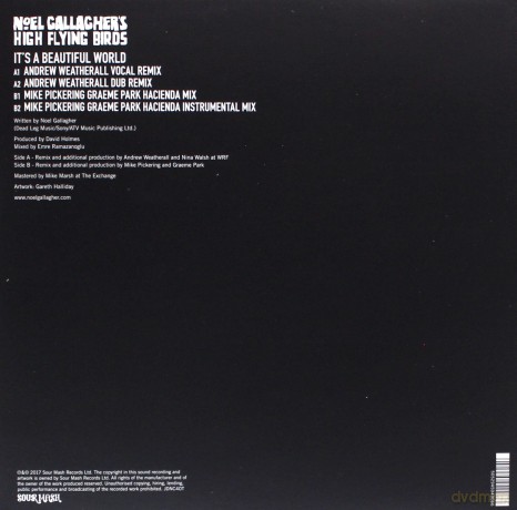 Noel Gallagher: It's A Beautiful World [Winyl]