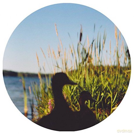 Johan Kaseta - The Erefora Land [Winyl]
