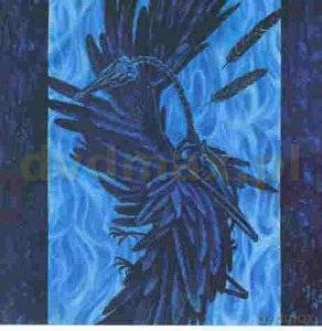Cemetary: Last Confessions [CD]