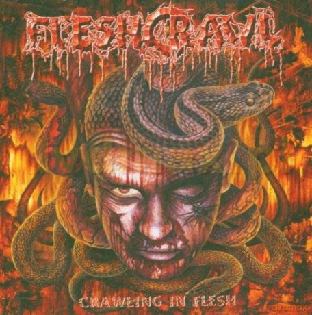 Fleshcrawl: Crawling In Flesh [CD]