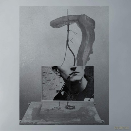 Sebastian Gandera: La Raccourci [Winyl]