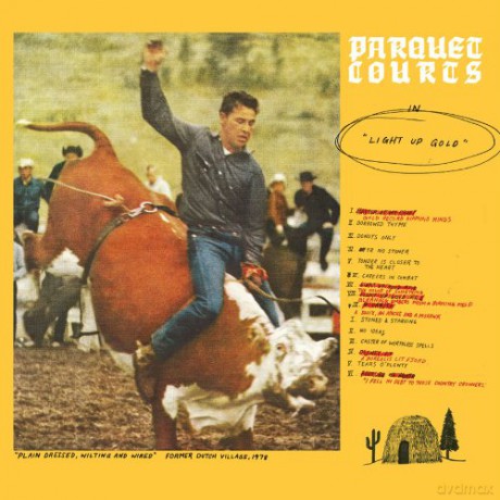 Parquet Courts: Light Up Gold [Winyl]