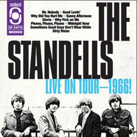Standells: Live On Tour 1966! [Winyl]