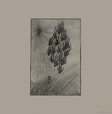 Aine O'Dwyer: Locusts [Winyl]