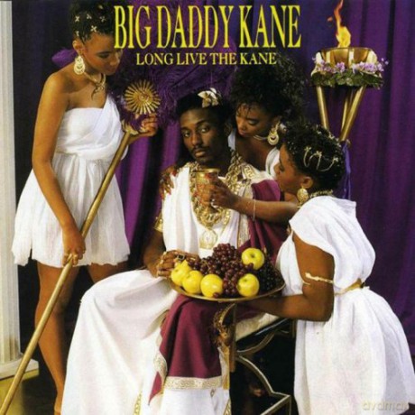 Big Daddy Kane: Long Live The Kane [Winyl]