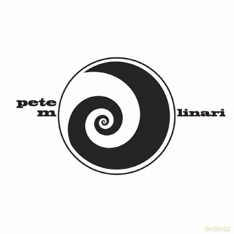 Pete Molinari: Look To The Wind B/W Girl Called Mine [Winyl]