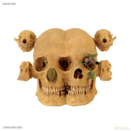 Kohoutek: Lossless Loss [Winyl]