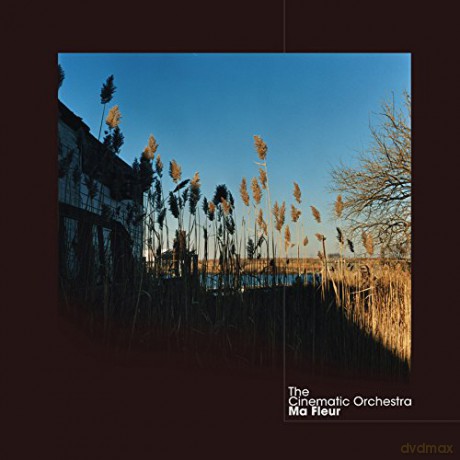 Cinematic Orchestra: Ma Fleur [Winyl]