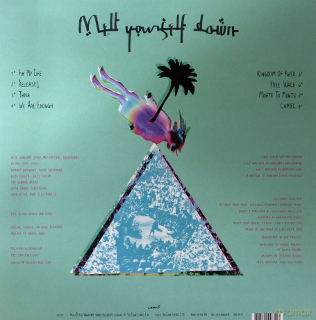Melt Yourself Down: Melt Yourself Down [Winyl]