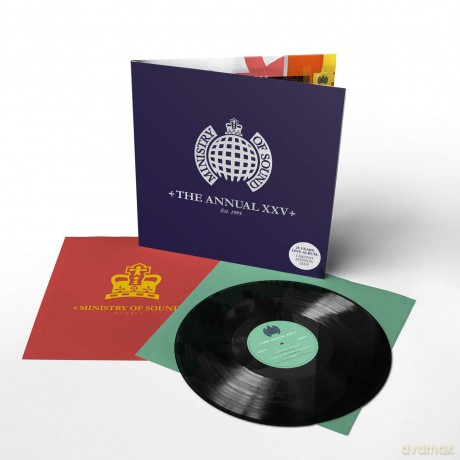 Ministry Of'sound: Annual XXV [Winyl]