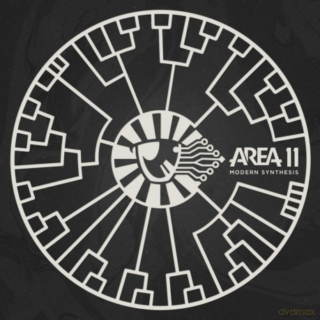 Area 11: Modern'synthesis [Winyl]