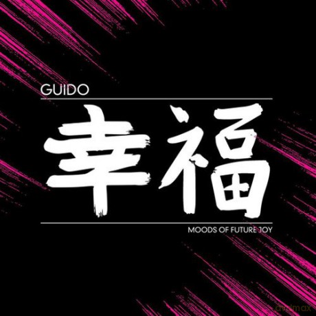 Guido: Moods Of Future Joy [Winyl]
