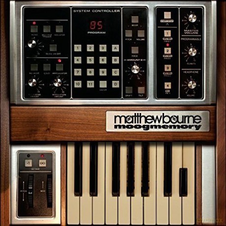 Matthew Bourne: Moogmemory [Winyl]