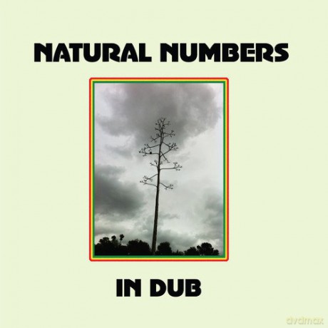 Natural Numbers: Natural Numbers in Dub [Winyl]