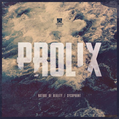 Prolix: Nature Of Reality /'sycophant [Winyl]