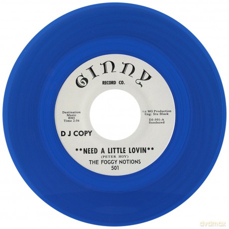 Foggy Notions: Need A Little Lovin'/Take Me Back [Winyl]