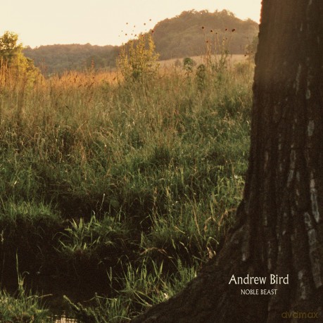 Andrew Bird: Noble Beast [2xWinyl]