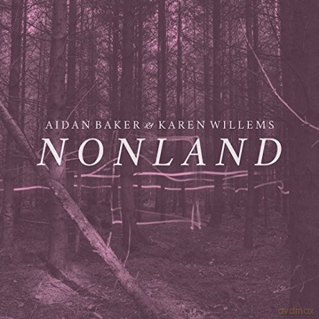 Aidan Baker: Nonland [Winyl]