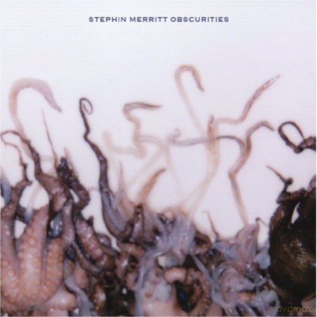 Stephin Merritt: Obscurities [Winyl]