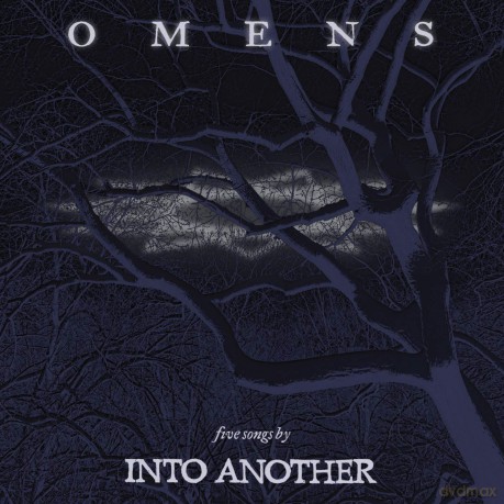 Into Another: Omens [Winyl]