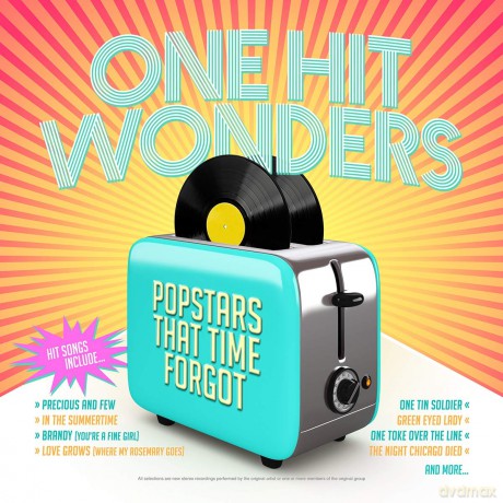 One Hit Wonders: One Hit Wonders [Winyl]