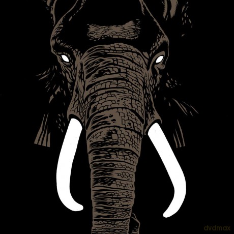 Palm Unit - Don't Buy Ivory Anymore [Winyl]