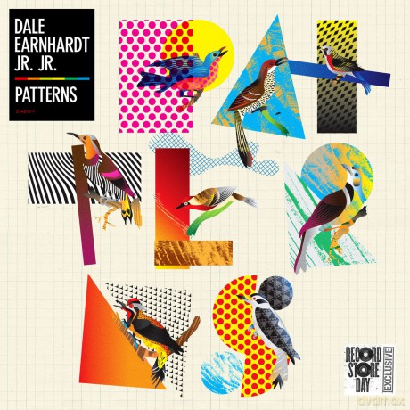 Dale Earnhardt Jr Jr: Patterns [Winyl]